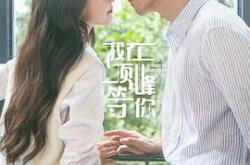 我在顶峰等你MP4格式