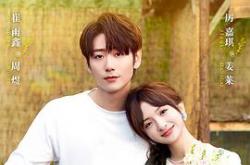 无法抗拒的谎言MP4格式