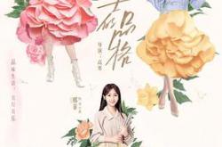 女士的品格MP4格式