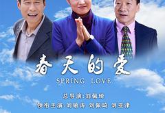 春天的爱MP4格式