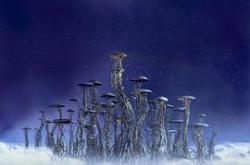 泰若星球国语MP4格式