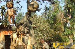 墨西哥娃娃岛怎么回事？ 洋娃娃遍布每个角落令人毛骨悚然_灵异鬼话_玛丽人