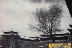 真实故宫灵异事件揭秘 珍妃井冤魂故宫闹鬼是真的吗？_灵异鬼话_玛丽人