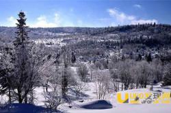 僵尸新娘 躺在你床边的冰冷尸体_灵异鬼话_玛丽人