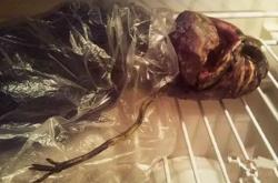 俄罗斯ufo事件，俄罗斯妇女冰冻外星人尸体是真的吗？ - 玛丽人