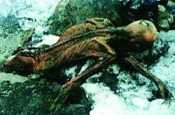 世界上被第一个发现的木乃伊奥兹冰人，他的诅咒是真的么