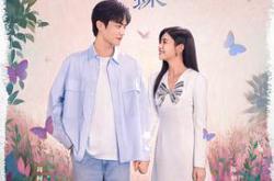 狙击蝴蝶MP4格式