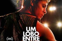 天鹅中的狼MP4格式