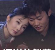 凋谢的鲜花MP4格式