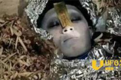 探秘95年成都僵尸事件真相 阴森恐怖令人毛骨悚然！_灵异鬼话玛丽人