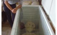 滨州外星人，电死外星人将其放进冰箱保存 -灵异事件