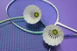 羽毛球起源于哪个国家,起源于印度但形成于英国 -宇宙探索发现