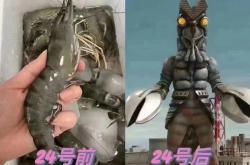 日本核污水会让人变成丧尸吗，哥斯拉即将诞生? -宇宙探索发现