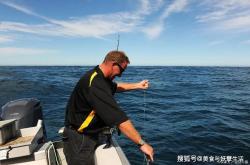 世界上最大的虾：40公斤的大龙虾 虾钳比手腕还粗! -百科