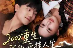 2002重生，我的开挂人生MP4格式