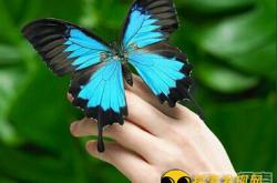 盘点中国民间传说中的十大惊人秘术_灵异鬼话玛丽人