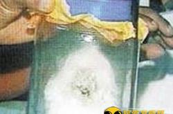 马来西亚巫医抓白色吸血僵尸形似棉花_灵异鬼话玛丽人