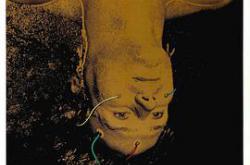 灵魂大搜索MP4格式