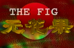 无花果1996MP4格式
