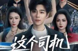 这个司机很无敌MP4格式