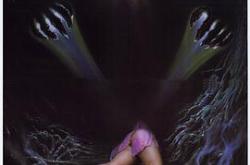 魔茧入侵MP4格式