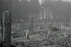 揭秘1994年中国“空中怪车”事件，UFO或许真实存在。