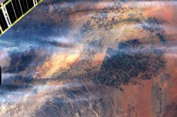 ISS地球照现怪圈 宇航员：“那不是UFO着陆点”