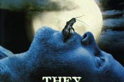 嗜血蟑螂MP4格式