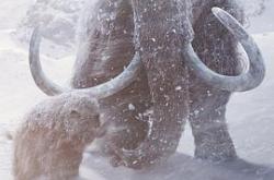 史前星球：冰川时代MP4格式