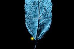 危机边缘第一季MP4格式