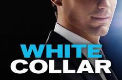 妙警贼探  第三季MP4格式