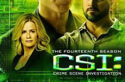 犯罪现场调查 第十四季MP4格式