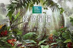 绿色星球MP4格式