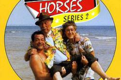 只有傻瓜和马 第二季MP4格式