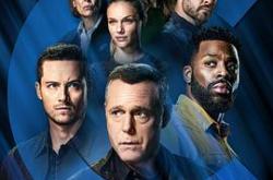 芝加哥警署第九季MP4格式