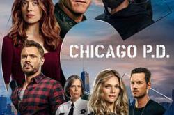 芝加哥警署第八季MP4格式