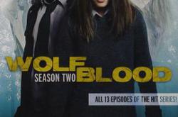 狼血少年 第二季MP4格式