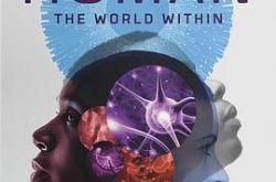 人类：体内的世界MP4格式