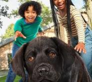 小狗广场第一季MP4格式