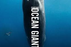 追踪海洋巨兽MP4格式