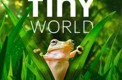 小小世界第二季MP4格式