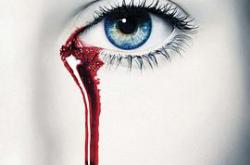 真爱如血  第五季MP4格式