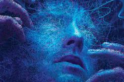 大群 第二季MP4格式