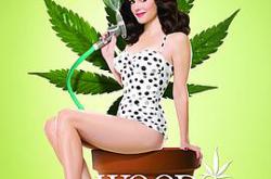 单身毒妈 第一季MP4格式