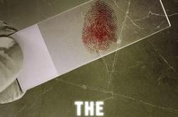 认罪口供第二季MP4格式