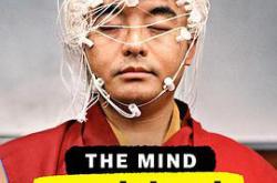 头脑解密第一季MP4格式