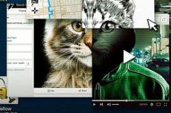 别惹猫咪：追捕虐猫者MP4格式