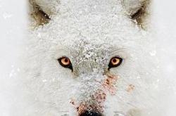 水深火热的星球第一季MP4格式