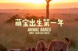 萌宝出生第一年MP4格式