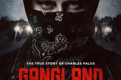 黑帮卧底第一季MP4格式